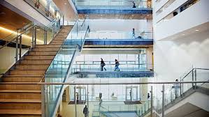york-university